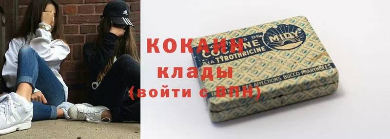 COCAIN Fish Scale  Анадырь 